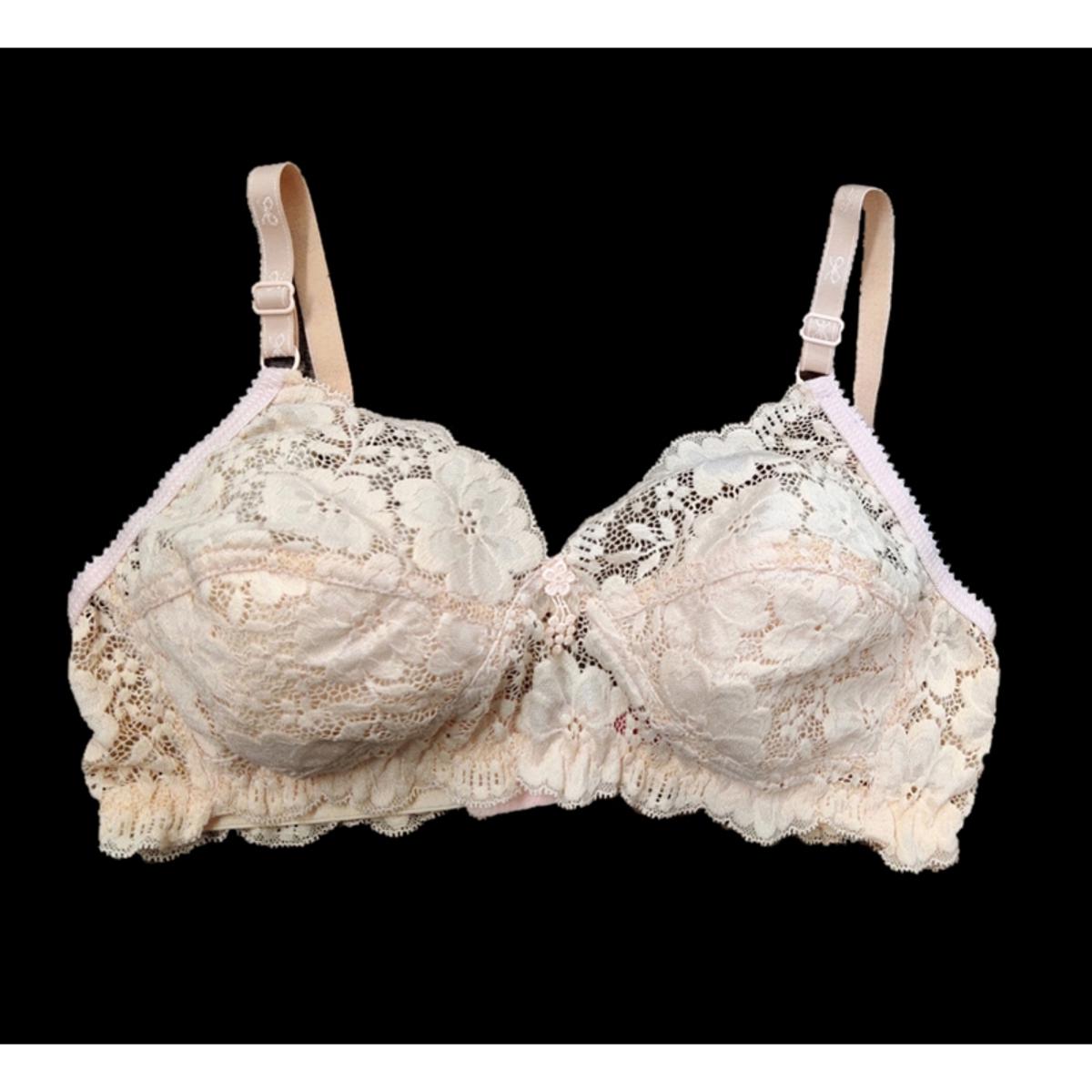 Picture of Juliyet rose net bra stylish bra soft bra soft net bra flower net bra