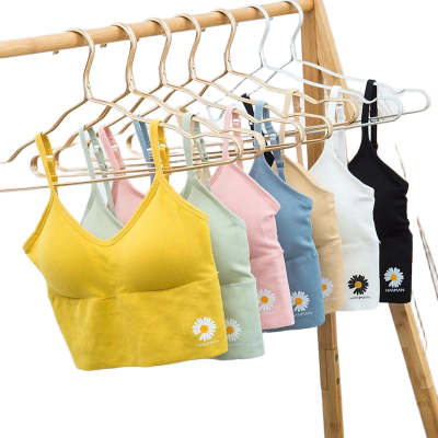 Picture of Body Shaper Tops Style Padded Bra Comfortable and Stylish Bra