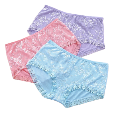Picture of Cotton Panties Hip Raise Panty Embroidered Breathable Ropa Interior De Mujer Seamless Women's Panties