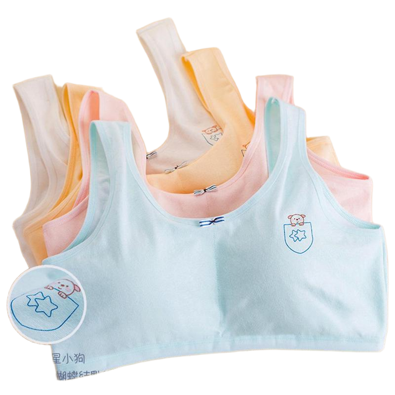 Picture of Multiple Color New Design Stylish Padded Bra Soft and Comfortable Stylish Undergarments Skin Friendly Bra