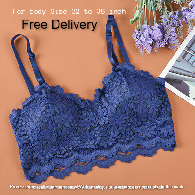 Picture of Stylish Comfortable Lace Padded Bra for Women