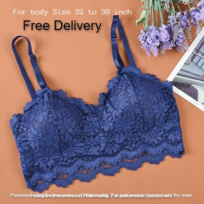 Picture of Stylish Comfortable Lace Padded Bra for Women