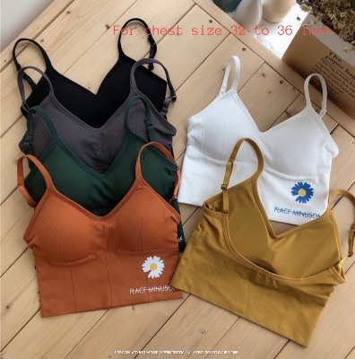 Picture of Body Shaper Tops Style Padded Stylish Comfortable Bra | Embrace a Confident and Fashionable Look with Unmatched Comfort and Support