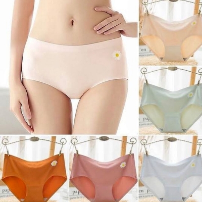Picture of Imported Ice silk comfortable long time useable panty underwear for women - One Piece