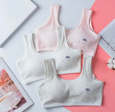 Picture of Imported padded soft and comfortable semis bra for teenagers and girls - One Piece
