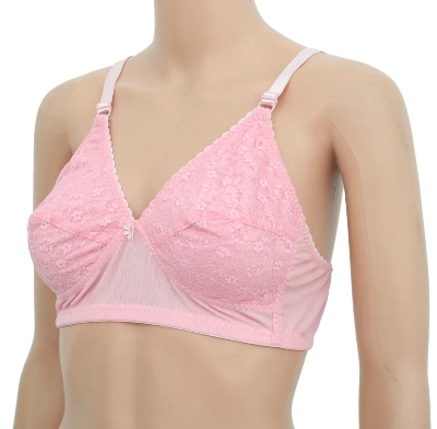 Picture of 1 Piece Premium Quality Women Clothing Net Soft Bra Comfortable Skin Friendly Stylish Bra for Women