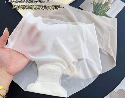 Picture of Imported Breathable Briefs Solid color mid waist Ice silk transparent stylish panty comfortable long time useable panty invisible antibacterial underwear for women - One Piece