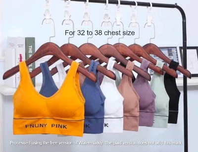 Picture of Imported Premium soft comfortable pad removable stretch bra for Women - One Piece Bra