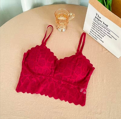 Picture of 1 Piece Imported New Stylish Comfortable Lace Padded Bra for Women