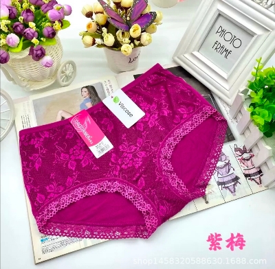 Picture of One Piece Imported Premium Lace Breathable Underwear Comfortable Panty for Women