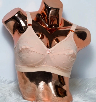 Picture of Imported comfortable Indian Like Me Merry Cotton Bra Big Belt Full Coverage Bra for Women regular use bra for women