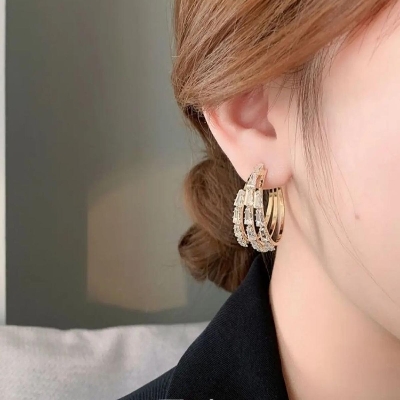 Picture of Three Lives III Light Luxury Crystal Ear Rings Advanced Anti -Global Energy Earrone Silver Needle Circle Earrings