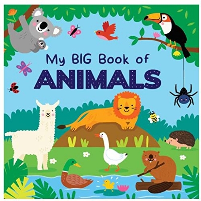 Picture of My Big Book of Animals Board book (hardcover)