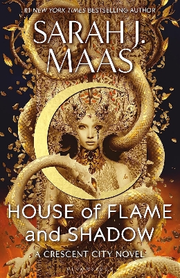 Picture of House of Flame and Shadow -(Paperback)