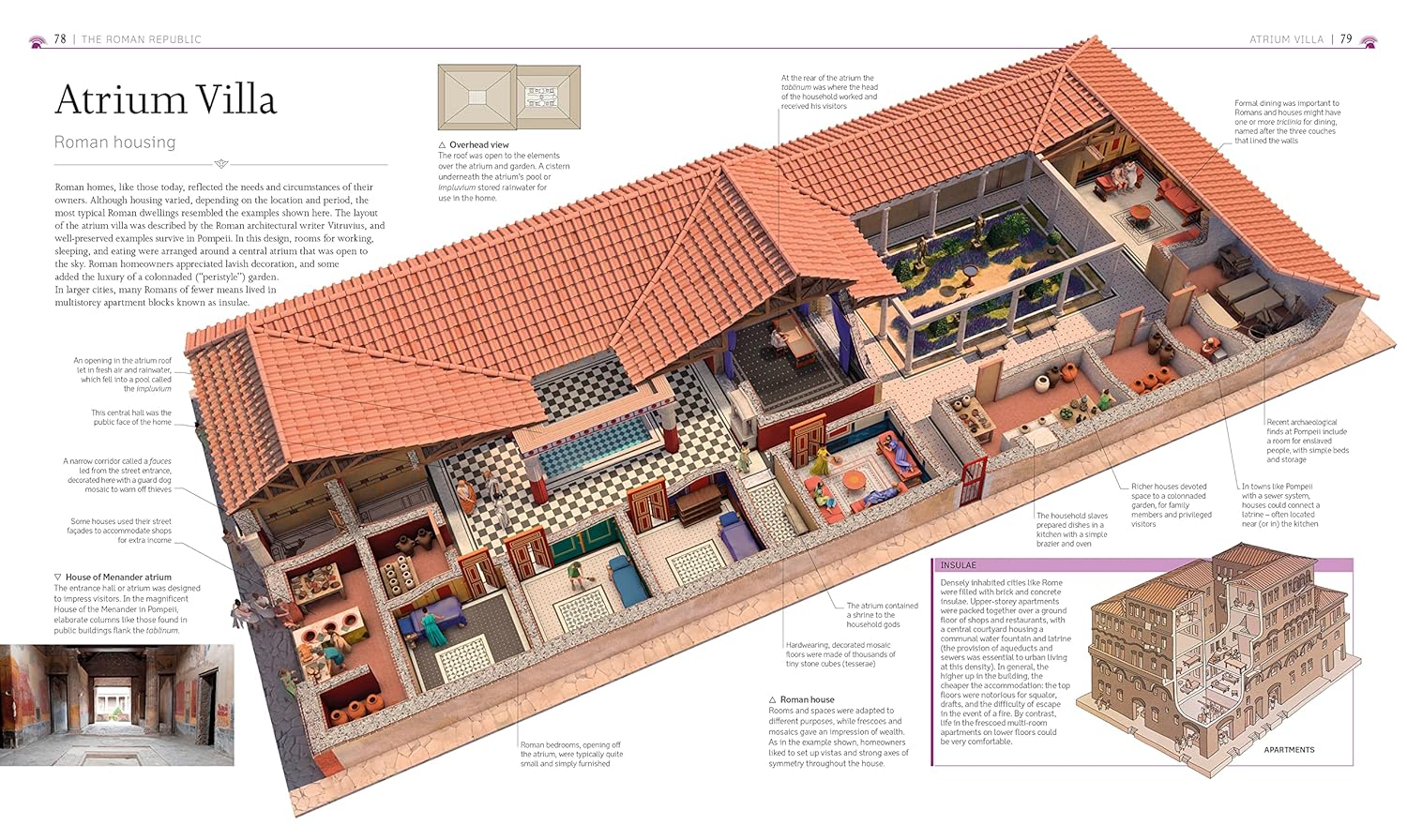 Picture of Ancient Rome [Hardcover]