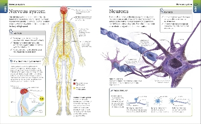 Picture of Super Simple Biology [Paperback]