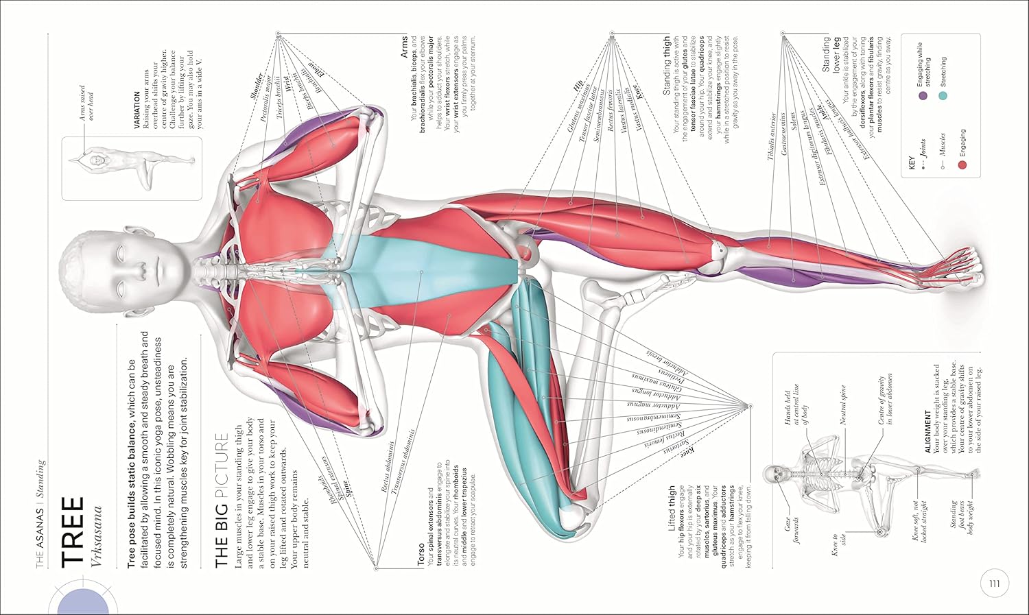 Picture of Science Of Yoga [Paperback]
