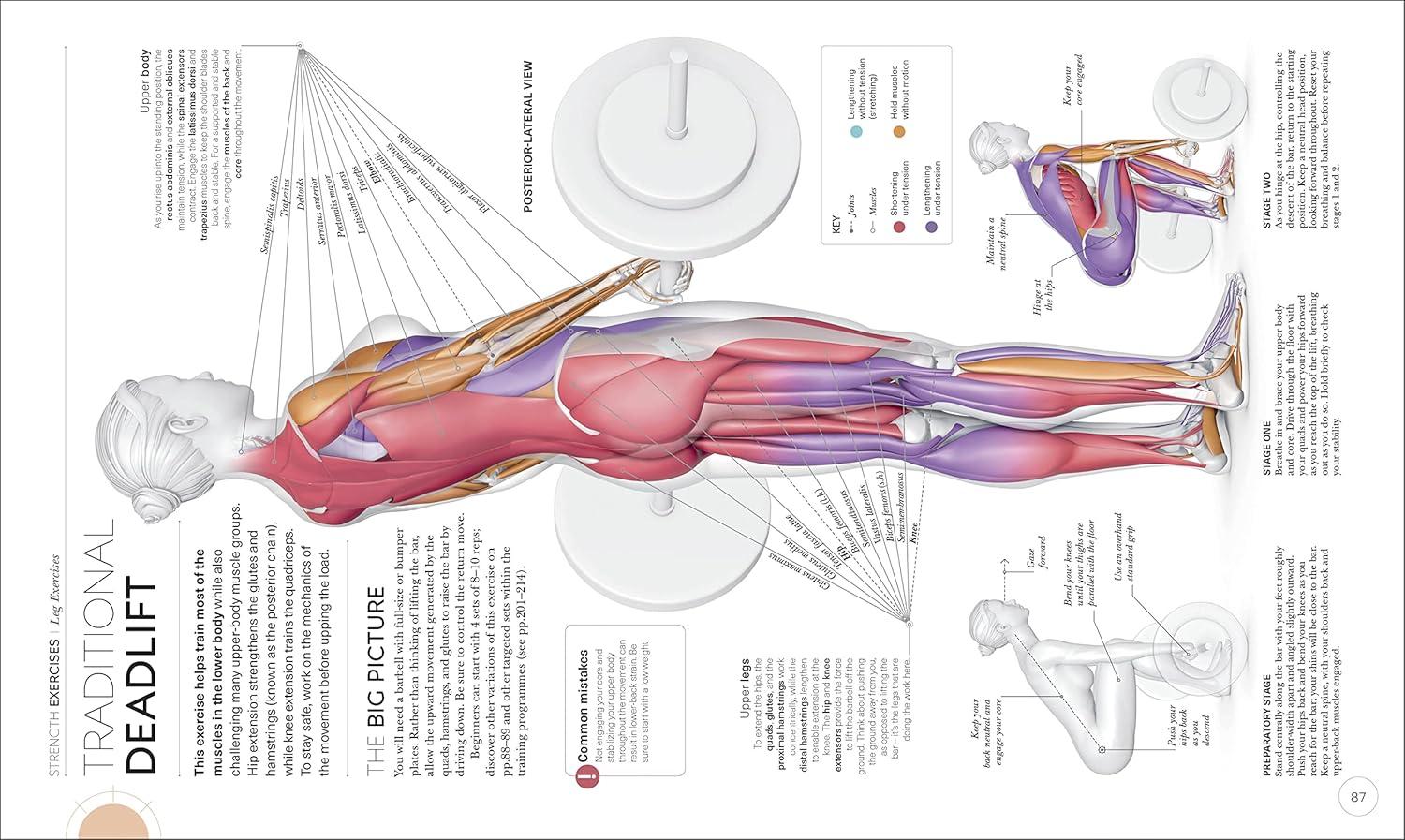 Picture of Science of Strength Training [Paperback]