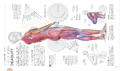 Picture of Science of Strength Training [Paperback]
