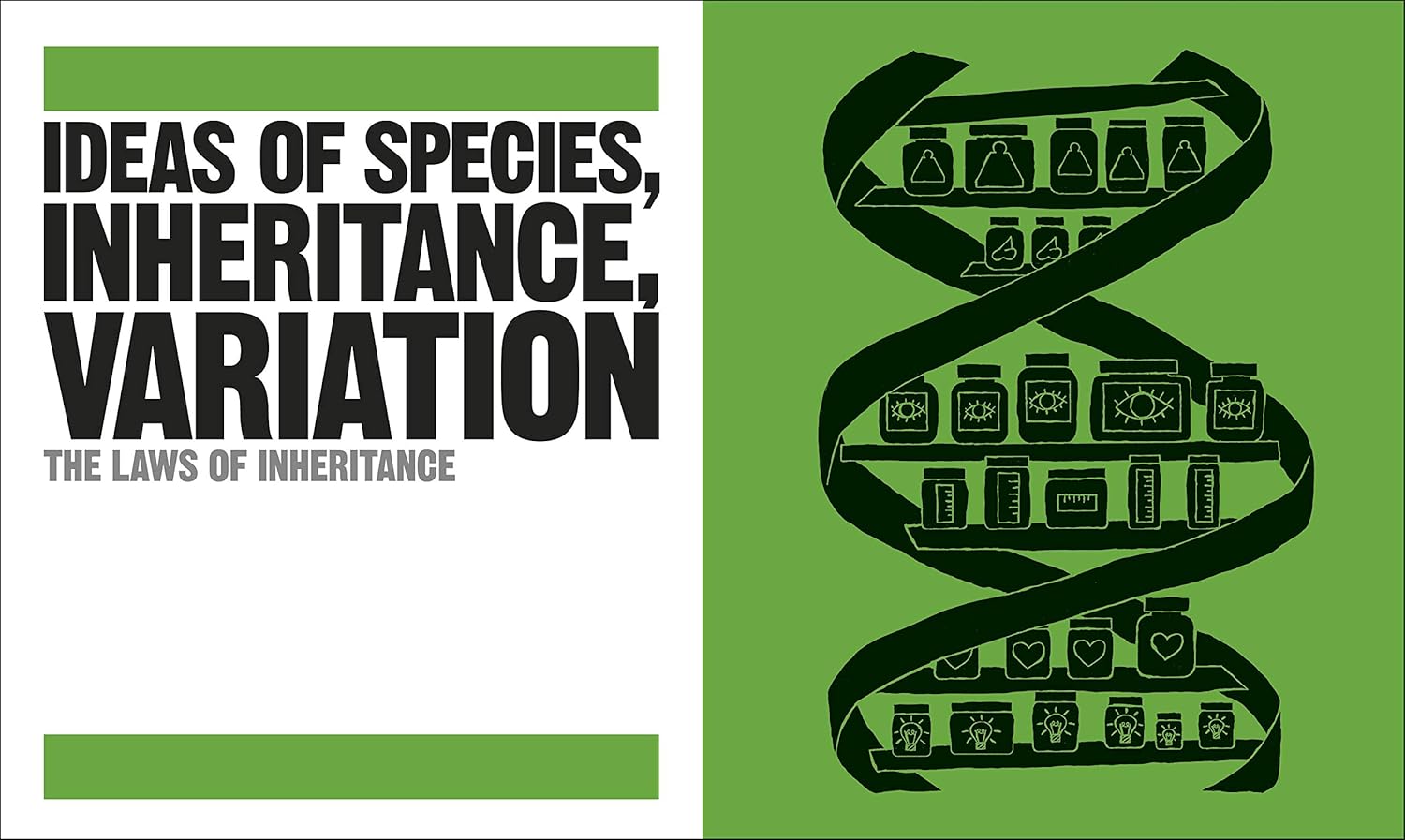 Picture of The Biology Book [Hardcover]