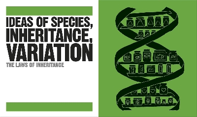 Picture of The Biology Book [Hardcover]