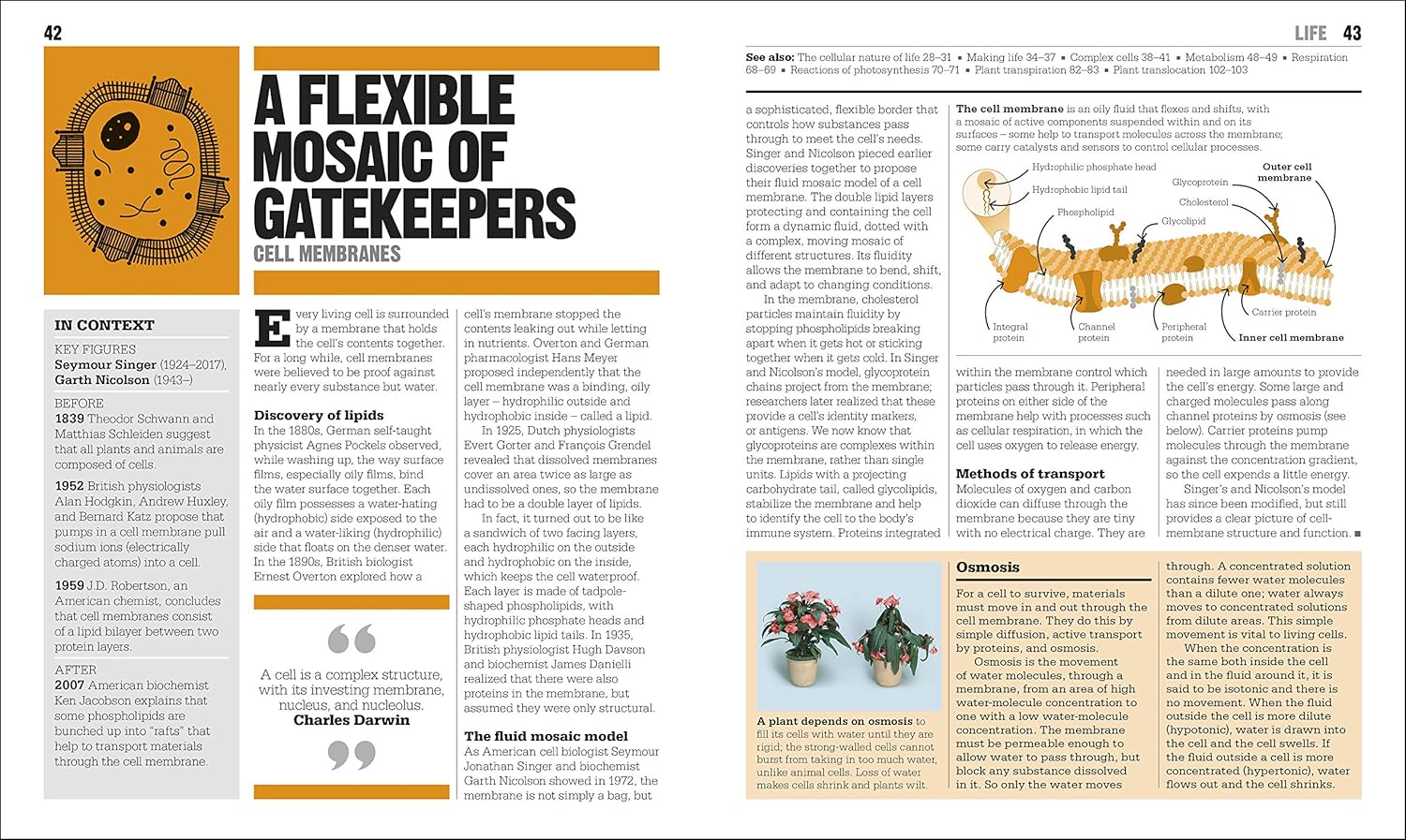 Picture of The Biology Book [Hardcover]