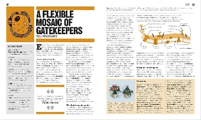 Picture of The Biology Book [Hardcover]