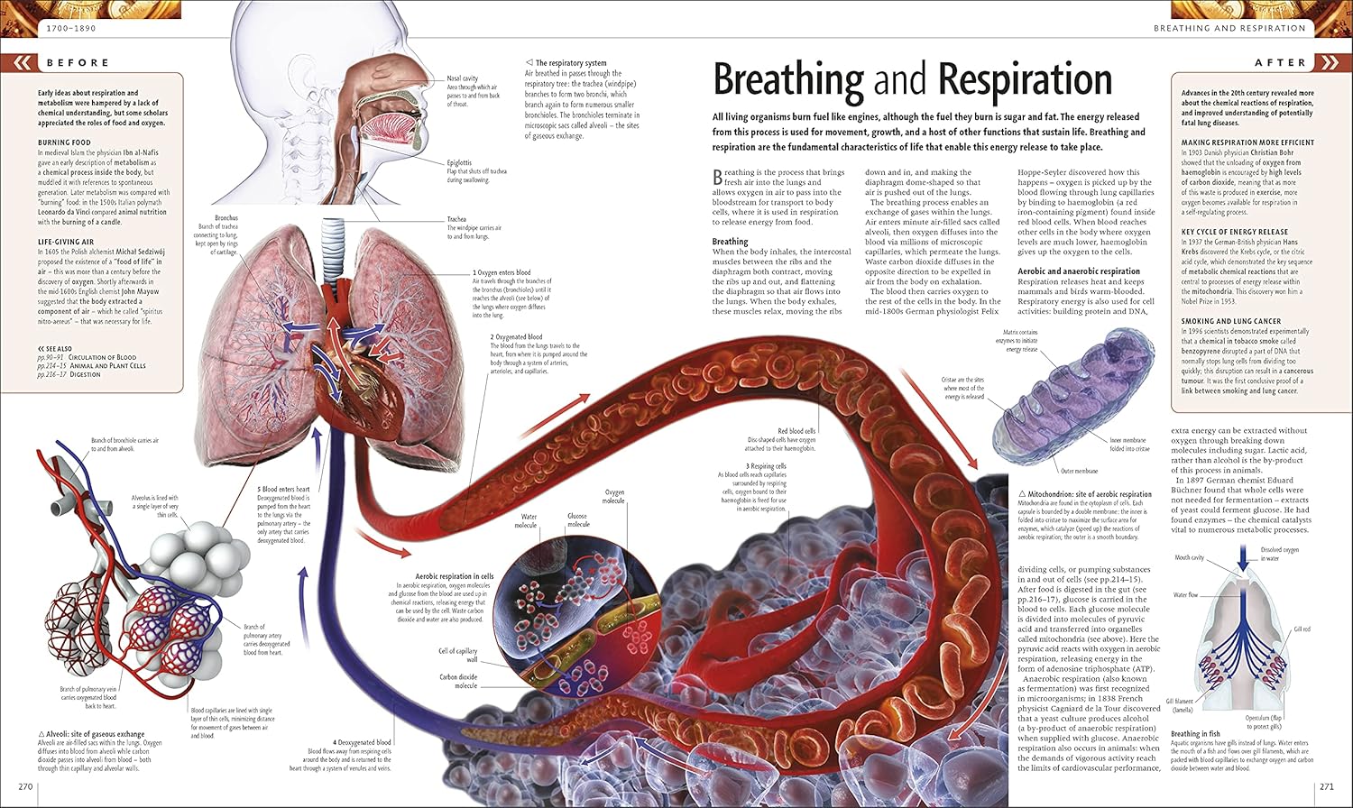 Picture of THE CASE IS CLOSED [Hardcover]