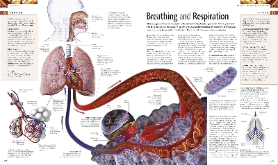 Picture of THE CASE IS CLOSED [Hardcover]