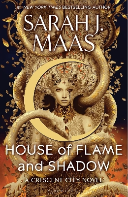 Picture of House of Flame and Shadow [Paperback]