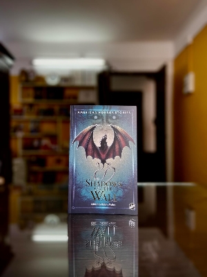 Picture of The Shadows on the Wall [Paperback]