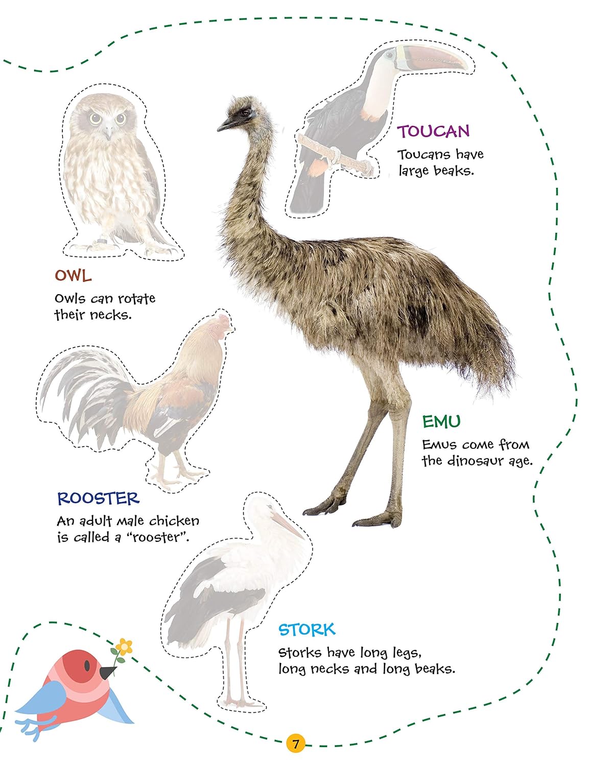 Picture of Play With Sticker - Birds