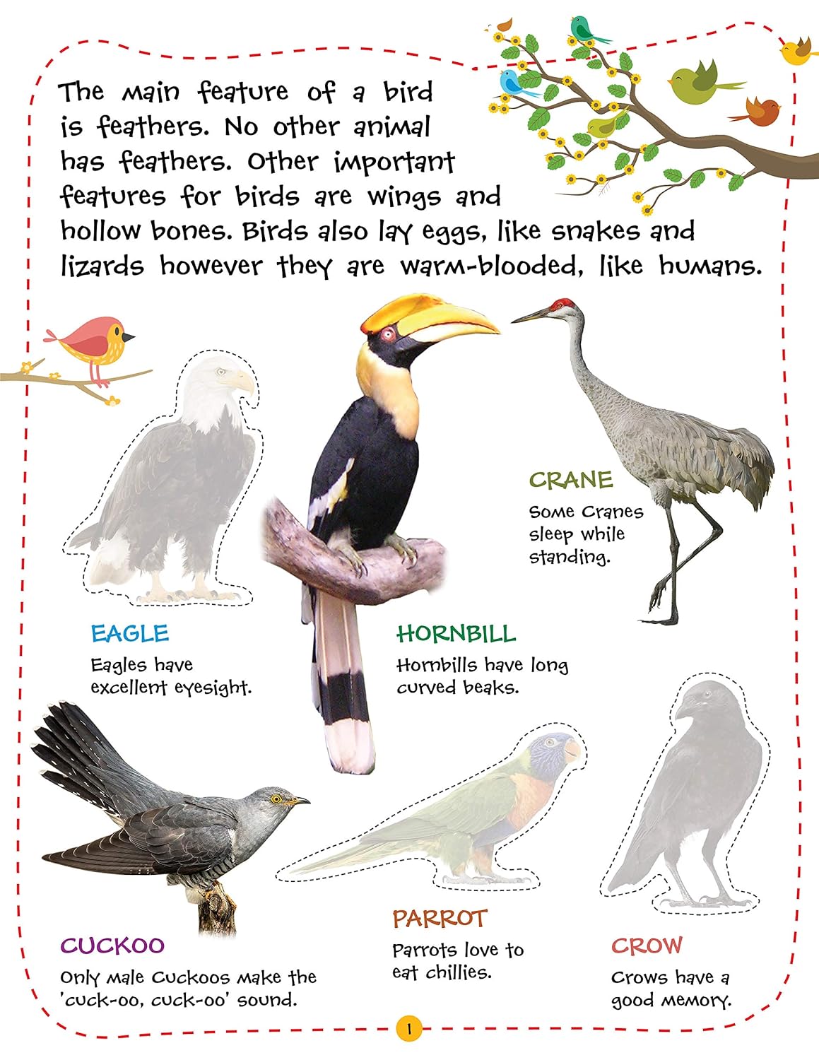 Picture of Play With Sticker - Birds