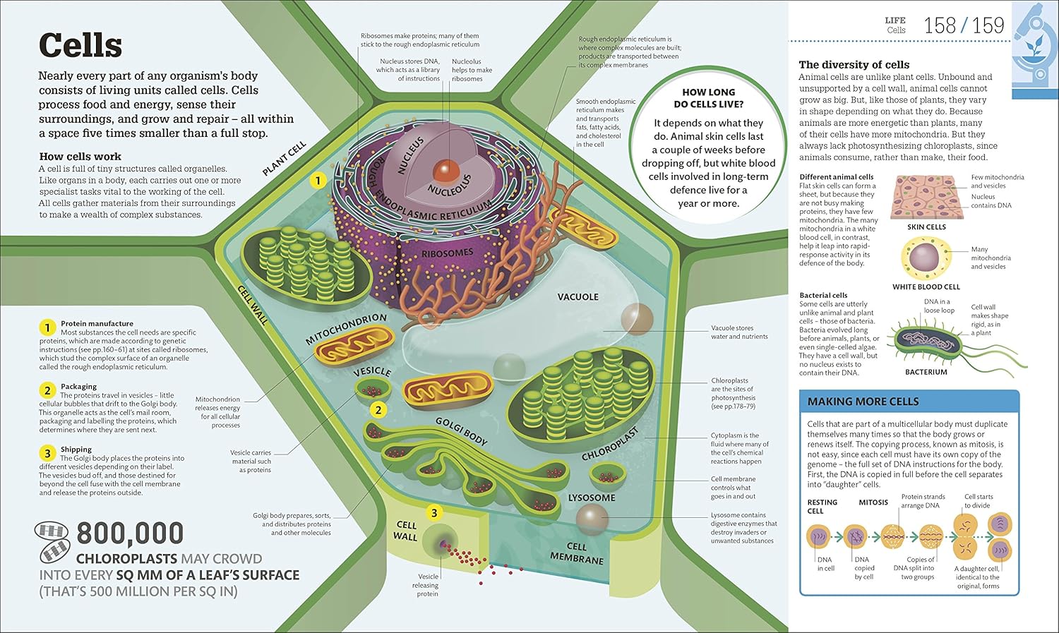 Picture of How Science Works (Hardcover)