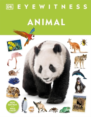 Picture of Animal (Hardcover)