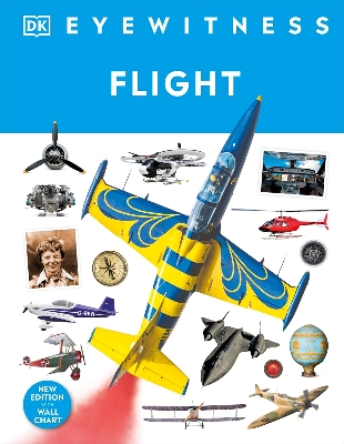 Picture of Flight (DK Eyewitness) Hardcover
