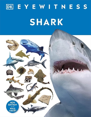 Picture of Shark (DK Eyewitness) Hardcover