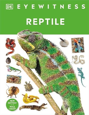 Picture of Reptile (Eyewitness) (DK Eyewitness) Hardcover