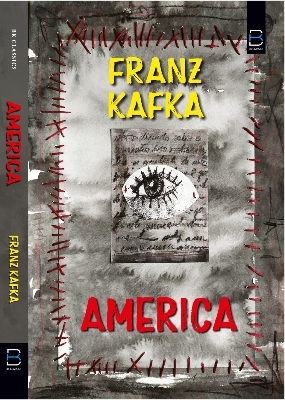 Picture of America (BK Classic) Paperback