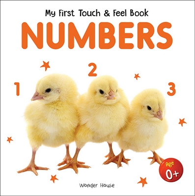 Picture of My First Book Of Touch And Feel - Numbers : Touch And Feel