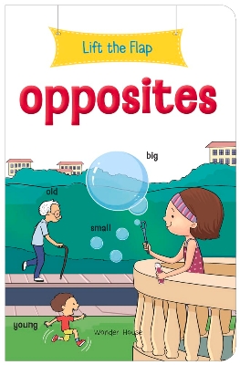 Picture of Lift the Flap: Opposites: Early Learning Novelty For Children book
