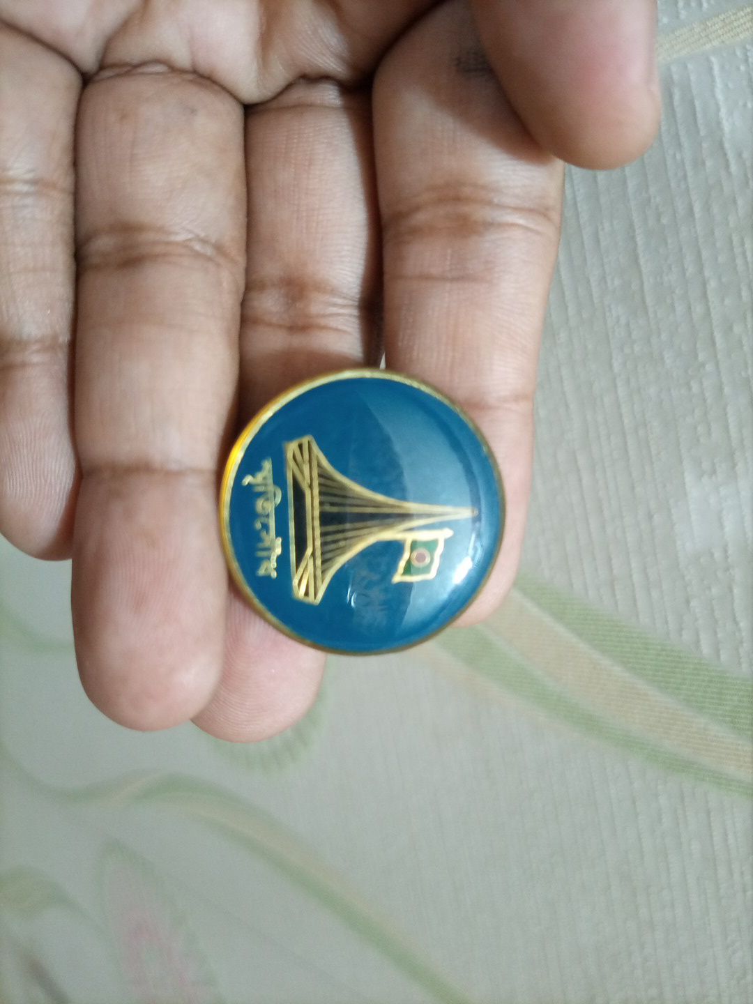 Picture of Srity Shodh Coat pin Broaches (01 pcs) with Silica gel