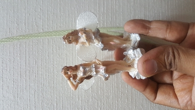 Picture of Beautiful Angels (7.5 cm) Showpieces (01 pieces)