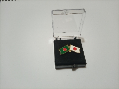 Picture of Bangladesh Japan Coat pin/ Hijab pin Brooches (01 pcs)