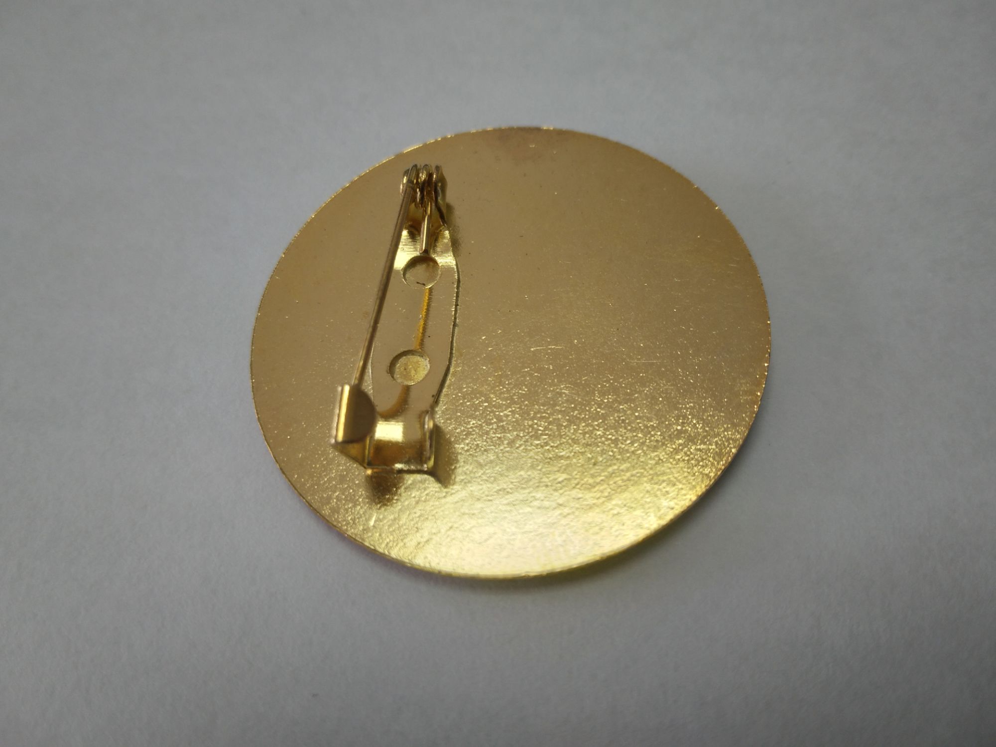 Picture of Jatiyatabadi Chhatra Daal Coat Pin/ Hijab Pin Brooches (One Pieces)