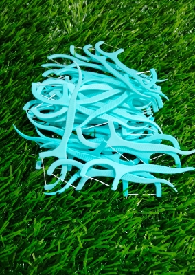 Picture of Dental Floss Toothpick Flosser 50 Pcs/1Box