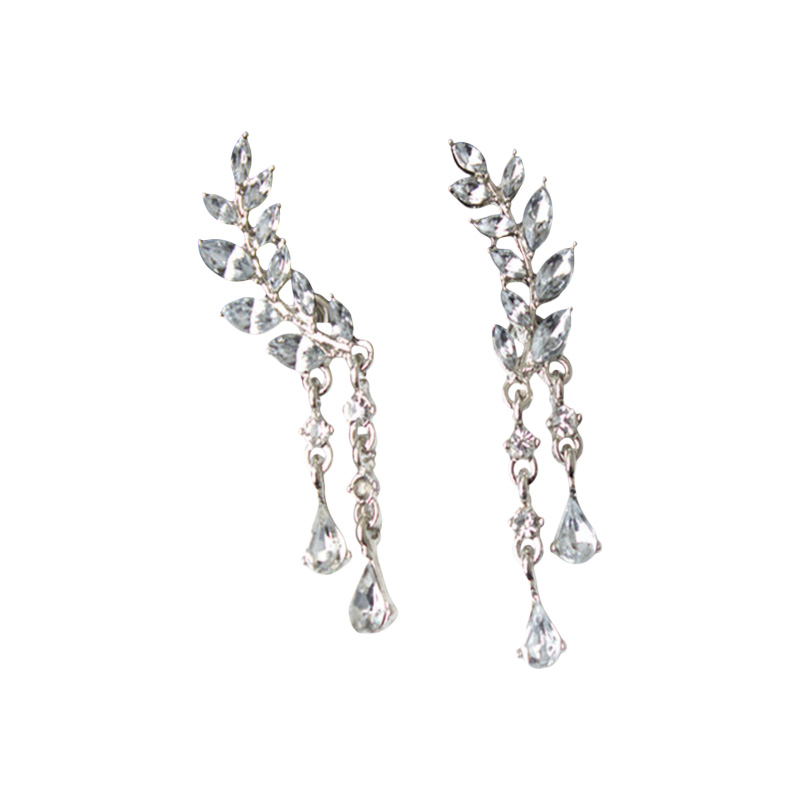 Picture of Premium Quality Earrings For Women