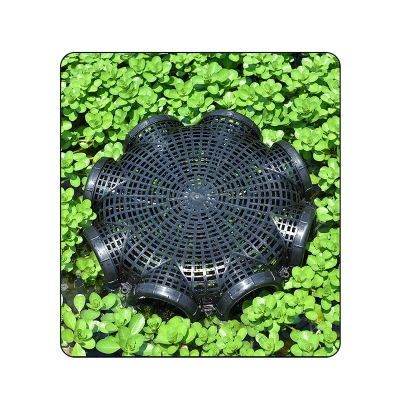 Fish Net Cage ZangCart Bdonline shop bangladeshothoba.com