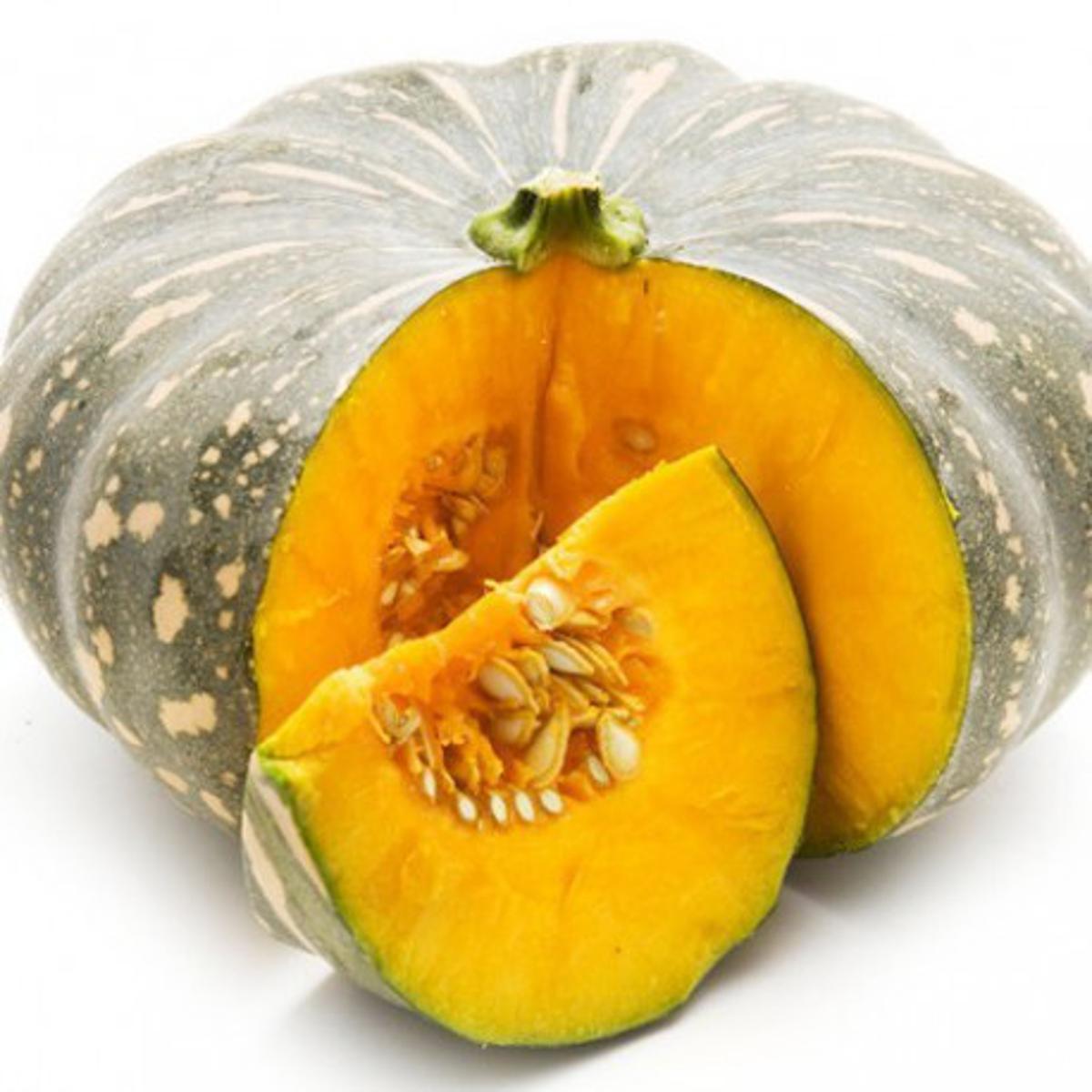 Picture of Hybrid Pumpkin Seed 15 pcs Hybrid Pumpkin Seed
