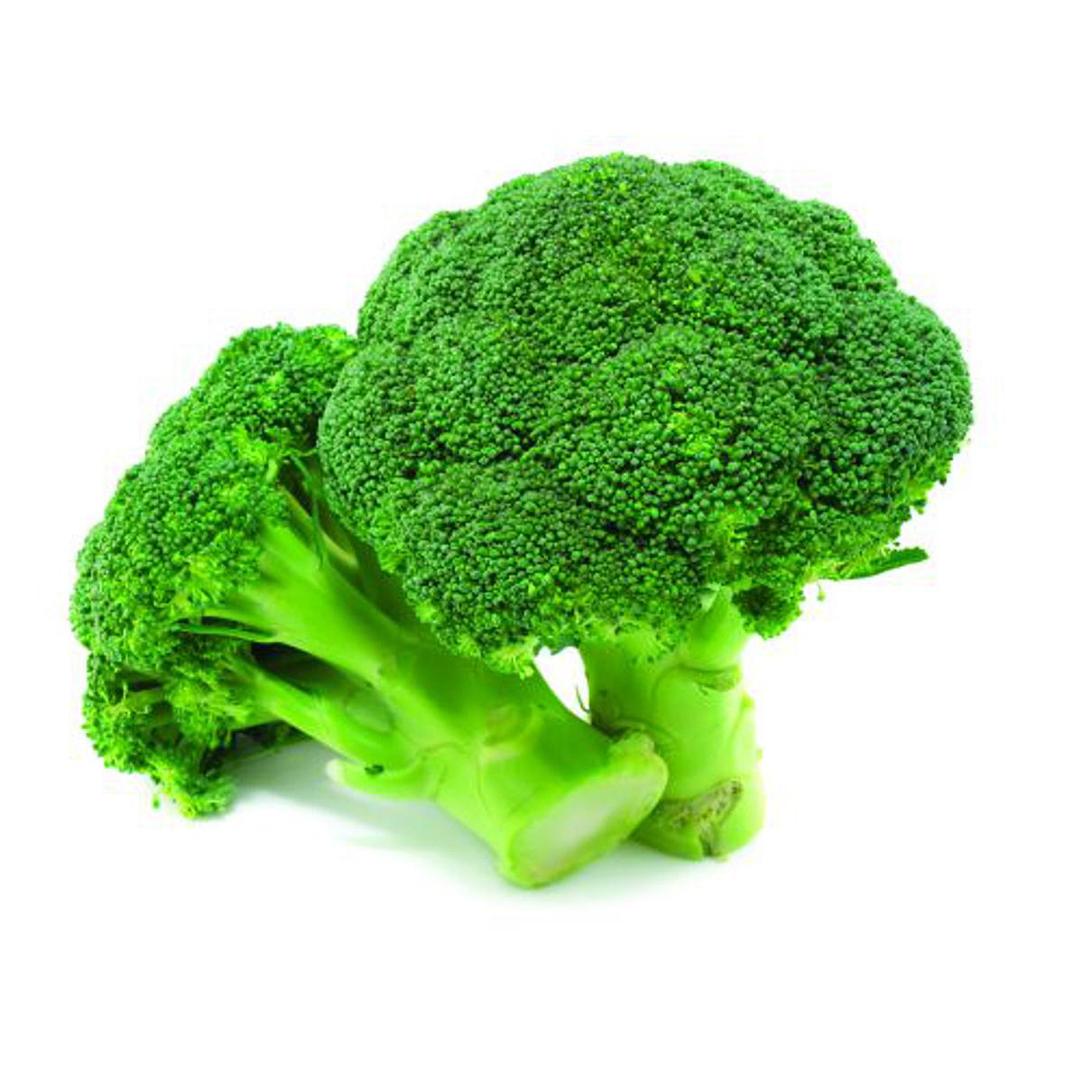 Picture of Advanced inspiring - Exceotional Quality - F1 Hybrid broccoli 25 seeds (broccoli seeds) - Vintage Choice - Expression of Yourself